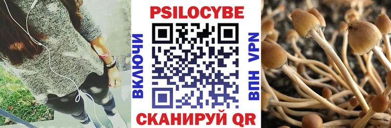гидра ссылки  Гусь-Хрустальный  Галлюциногенные грибы Magic Shrooms 